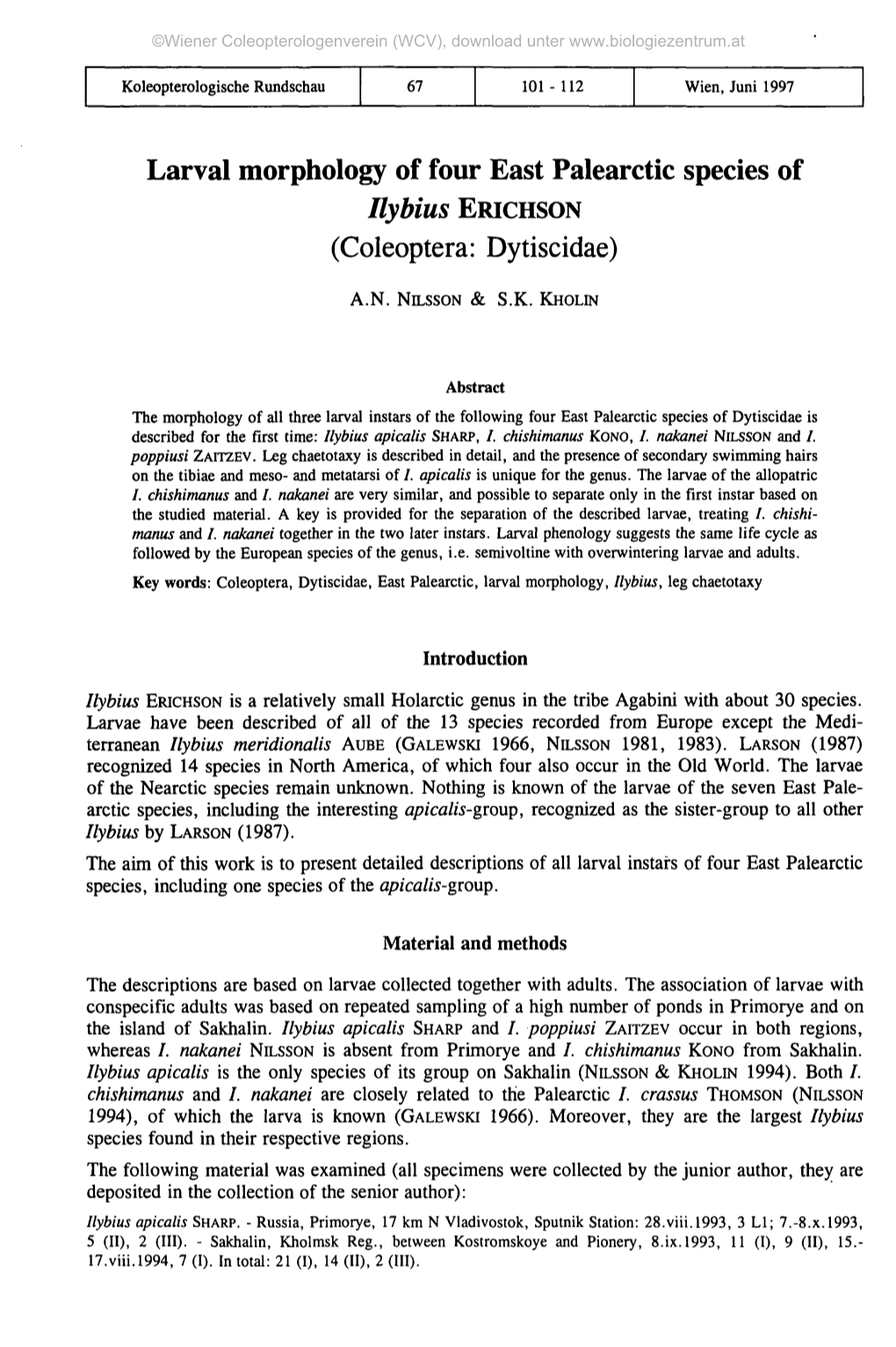 Larval Morphology of Four East Palearctic Species of Ilybius ERICHSON (Coleoptera: Dytiscidae)