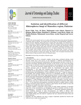 Isolation and Identification of Different Rhizospheres Fungi of Mansehra