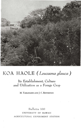 KOA HAOLE (Leucaena Glauca)