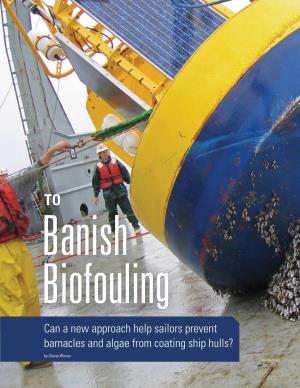 Can a New Approach Help Sailors Prevent Barnacles and Algae from Coating Ship Hulls?