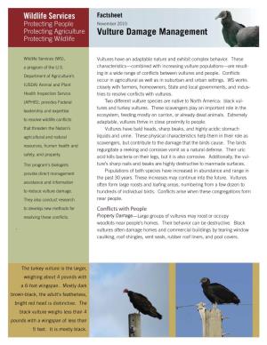 Vulture Damage Managementt Protecting Wildlife