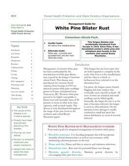 White Pine Blister Rust Forest Health Protection USDA Forest Service