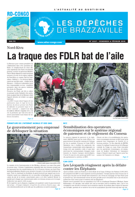 La Traque Des FDLR Bat De L'aile