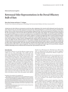 Retronasal Odor Representations in the Dorsal Olfactory Bulb of Rats