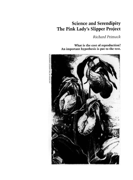 The Lady's Slipper Project