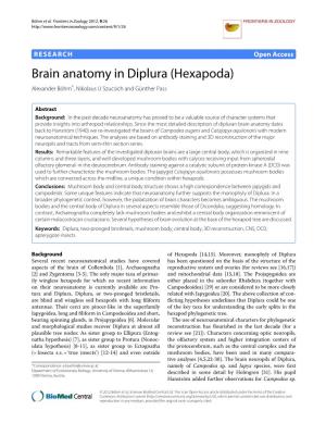 Brain Anatomy in Diplura (Hexapoda) Alexander Bohm¨ *, Nikolaus U Szucsich and Gunther¨ Pass