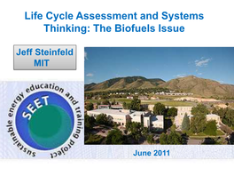 Life Cycle Assessment and Systems Thinking: the Biofuels Issue