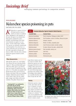 Kalanchoe Species Poisoning in Pets Geof Smith, DVM, Phd, DACVIM
