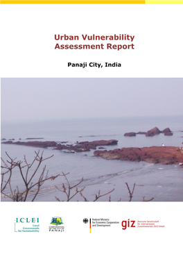 Urban Vulnerability Assessment Report