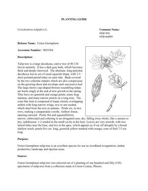 PLANTING GUIDE Liriodendron Tulipifera L. Common Name: Tulip Tree Tulip Poplar Release Name: Union Germplasm Accession Number: 9