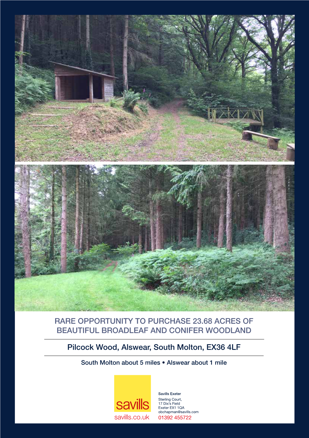 Rare Opportunity to Purchase 23.68 Acres of Beautiful Broadleaf and Conifer Woodland