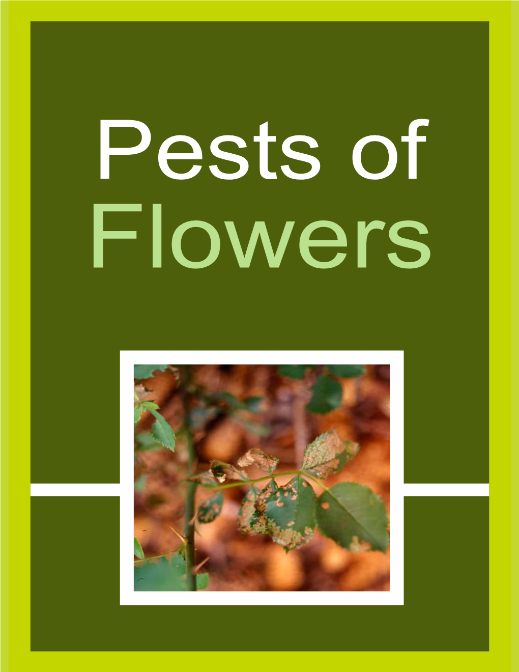 Pests of Flowers