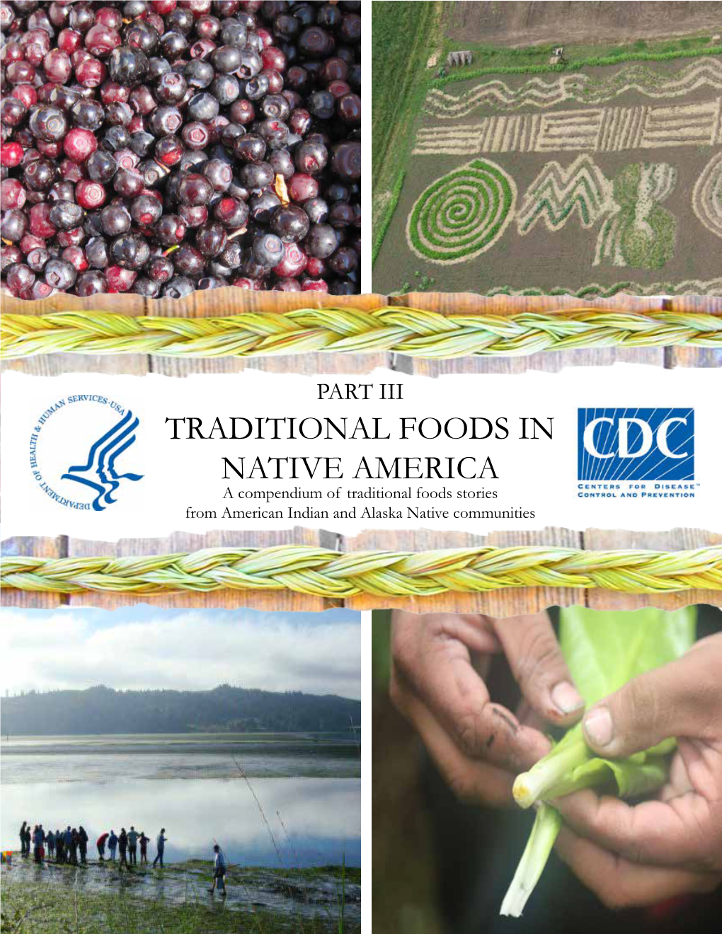 Part III Traditional Foods in Native America