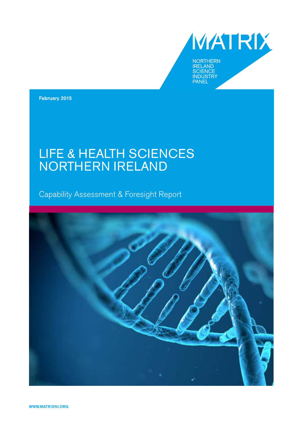 Life & Health Sciences Northern Ireland