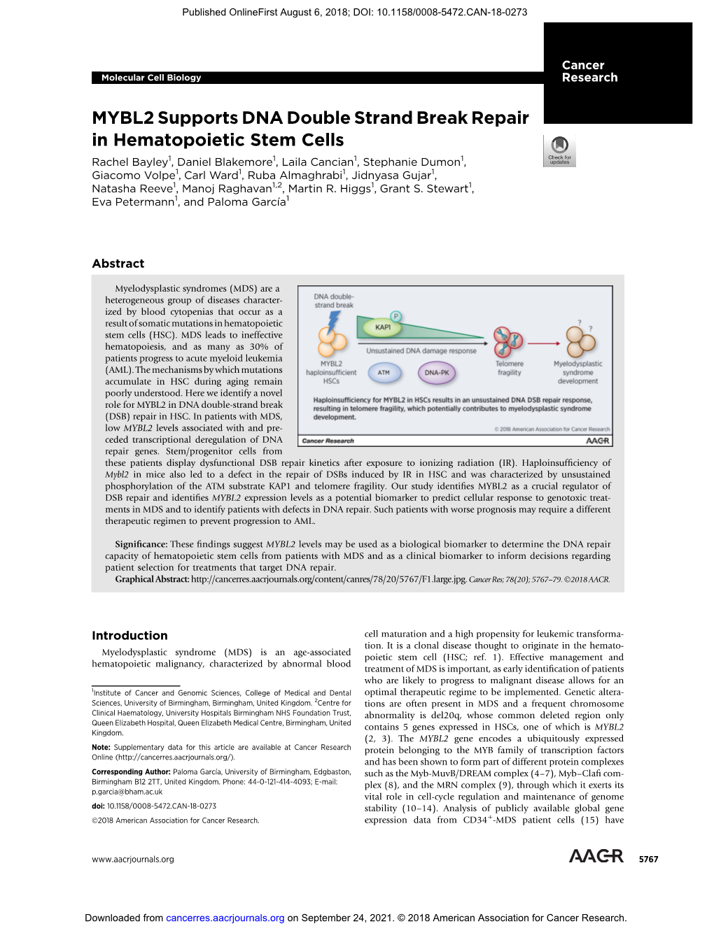 MYBL2 Supports DNA Double Strand Break Repair in Hematopoietic