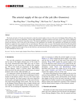The Arterial Supply of the Eye of the Yak (Bos Grunniens)