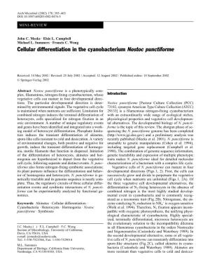 Cellular Differentiation in the Cyanobacterium Nostoc Punctiforme