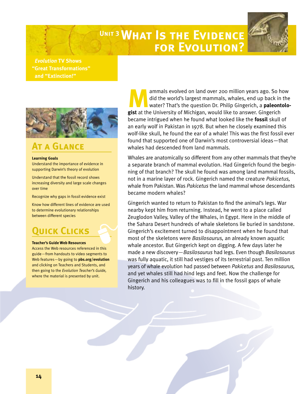 Unit 3: What Is the Evidence for Evolution?