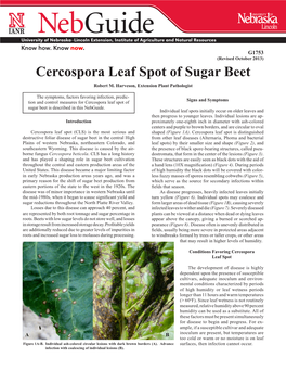 Cercospora Leaf Spot of Sugar Beet Robert M