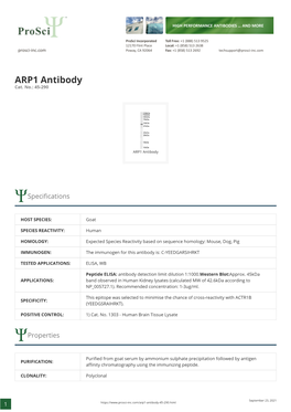 ARP1 Antibody Cat