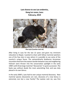 Last Chance to See Lao Endemics, Kong Lor Caves, Laos: February, 2019