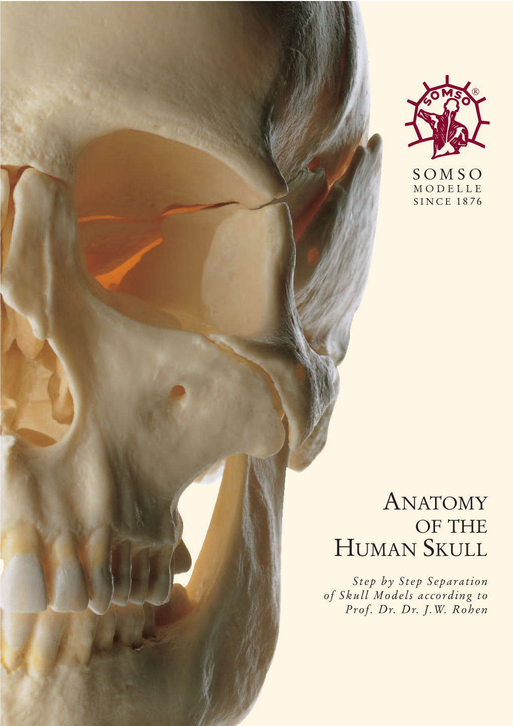 Anatomy of the Human Skull