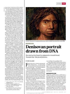 Denisovan Portrait Drawn From