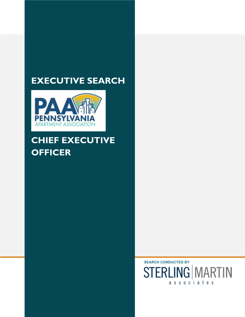 Chief Executive Officer (CEO)