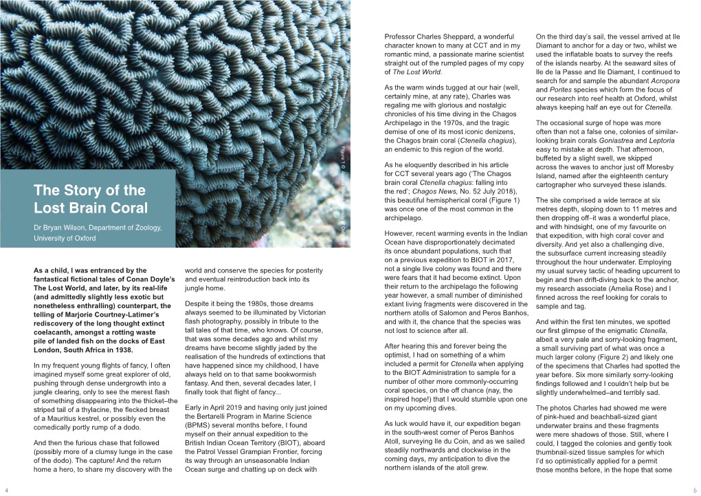 The Story of the Lost Brain Coral