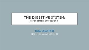 THE DIGESTIVE SYSTEM: Introduction and Upper GI