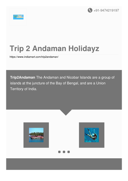 Trip 2 Andaman Holidayz