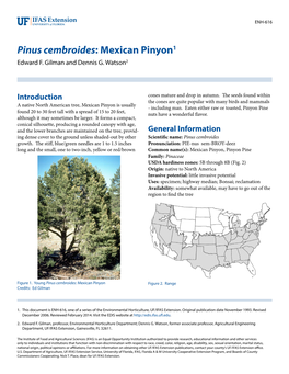 Pinus Cembroides: Mexican Pinyon1 Edward F
