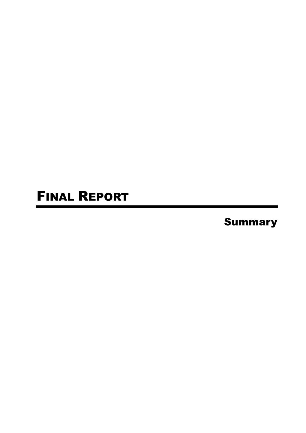 Final Report