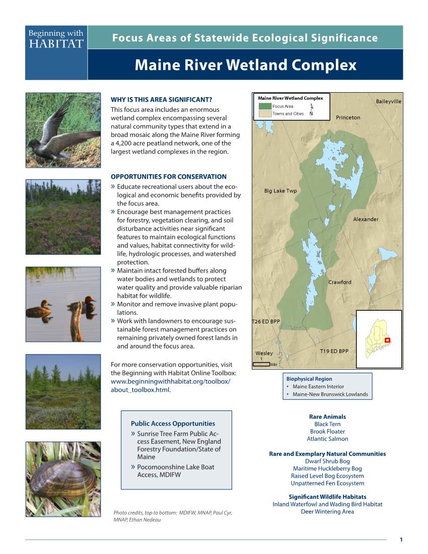 Maine River Wetland Complex Beginning with Focus Areas of Statewide Ecological Significance Habitat Maine River Wetland Complex