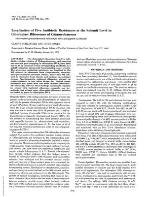 Localization of Five Antibiotic Resistances at the Subunit Level In
