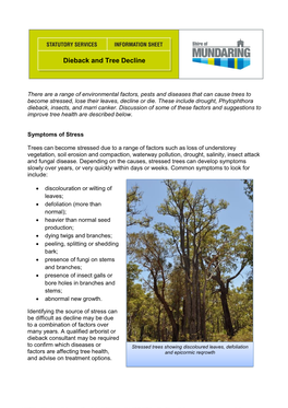 Dieback and Tree Decline Information Sheet