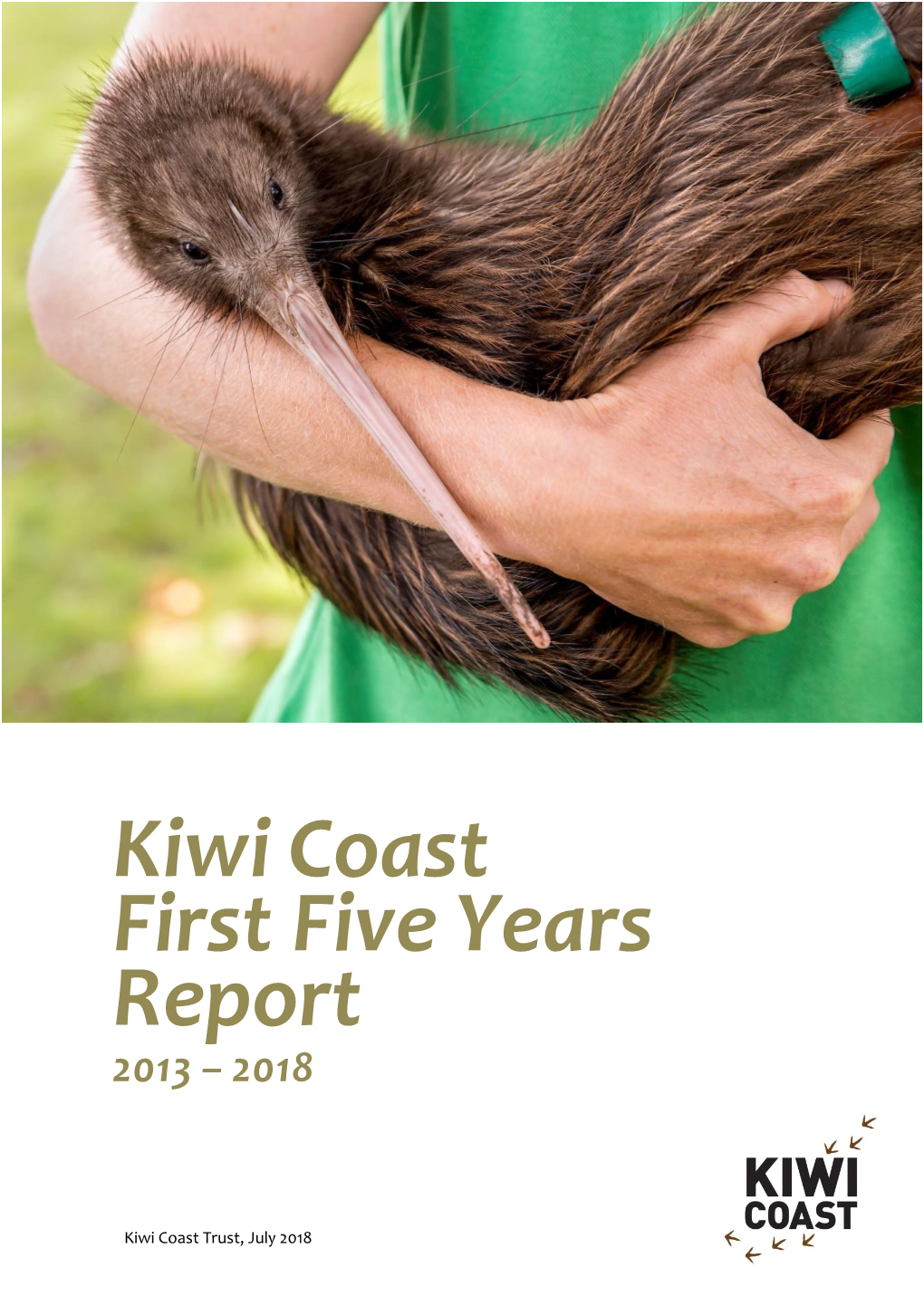 First Five Years Report 2013 – 2018