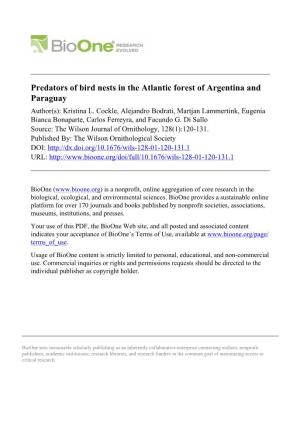 Predators of Bird Nests in the Atlantic Forest of Argentina and Paraguay Author(S): Kristina L