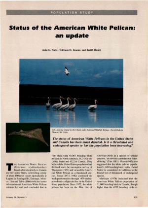 Status of the American White Pelican: an Update