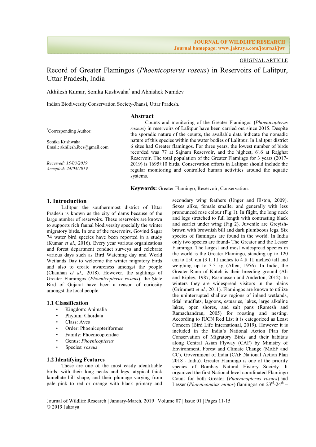 Record of Greater Flamingos (Phoenicopterus Roseus) in Reservoirs of Lalitpur, Uttar Pradesh, India