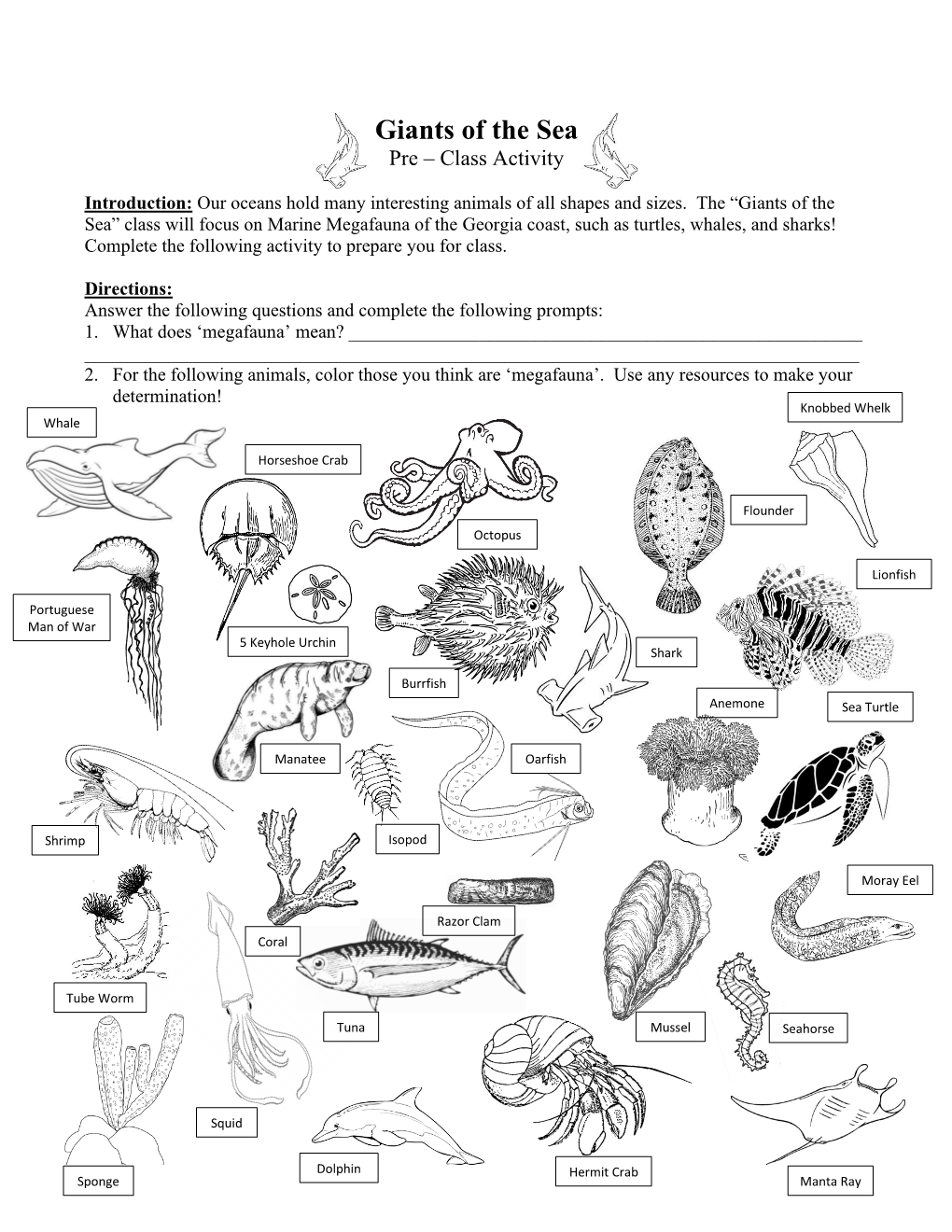 Giants of the Sea Pre – Class Activity