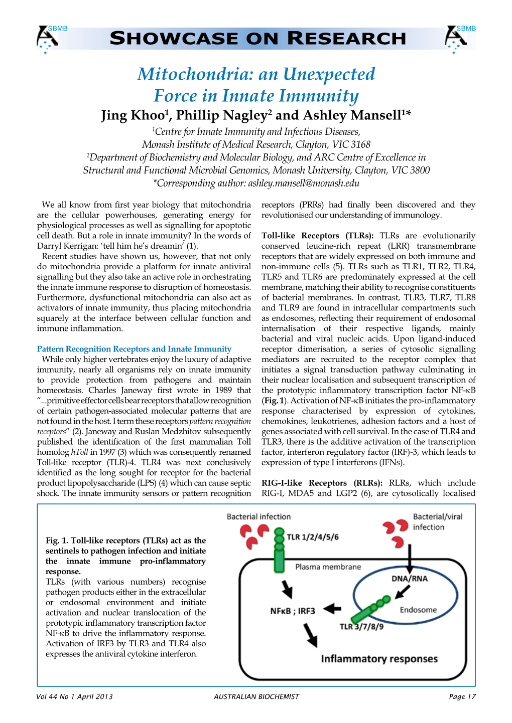 Mitochondria: an Unexpected Force in Innate Immunity