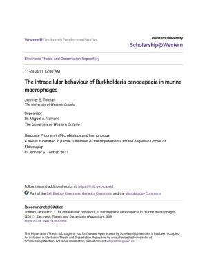The Intracellular Behaviour of Burkholderia Cenocepacia in Murine Macrophages