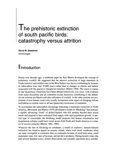 The Prehistoric Extinction of South Pacific Birds: Catastrophy Versus Attrition