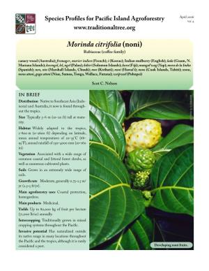 Morinda Citrifolia (Noni) Rubiaceae (Coffee Family) Canary Wood (Australia); Fromager, Murier Indien (French); I (Kosrae); Indian Mulberry (English); Lada (Guam, N