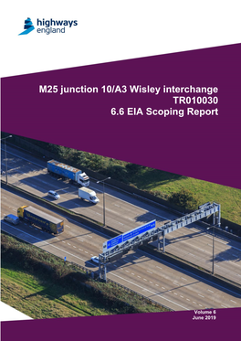M25 Junction 10/A3 Wisley Interchange TR010030 6.6 EIA Scoping Report