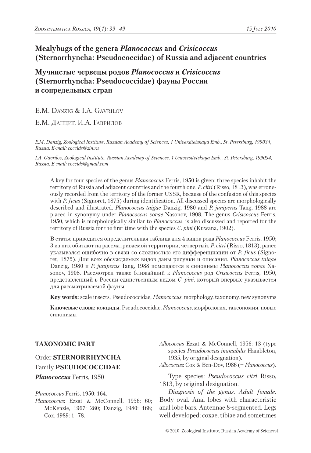 Mealybugs of the Genera Planococcus and Crisicoccus (Sternorrhyncha: Pseudococcidae) of Russia and Adjacent Countries