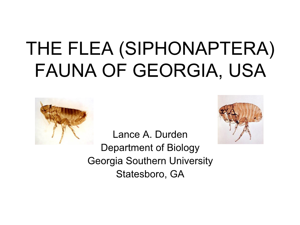 The Flea (Siphonaptera) Fauna of Georgia, Usa