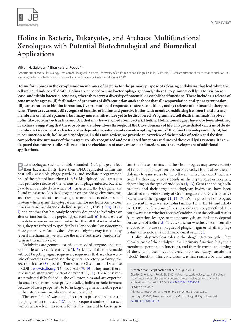 Holins in Bacteria, Eukaryotes, and Archaea: Multifunctional Xenologues with Potential Biotechnological and Biomedical Applications