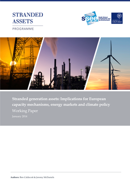 Stranded Generation Assets: Implications for European Capacity Mechanisms, Energy Markets and Climate Policy Working Paper January 2014
